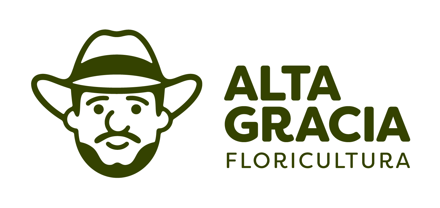 Alta gracia - alta-gracia.cl